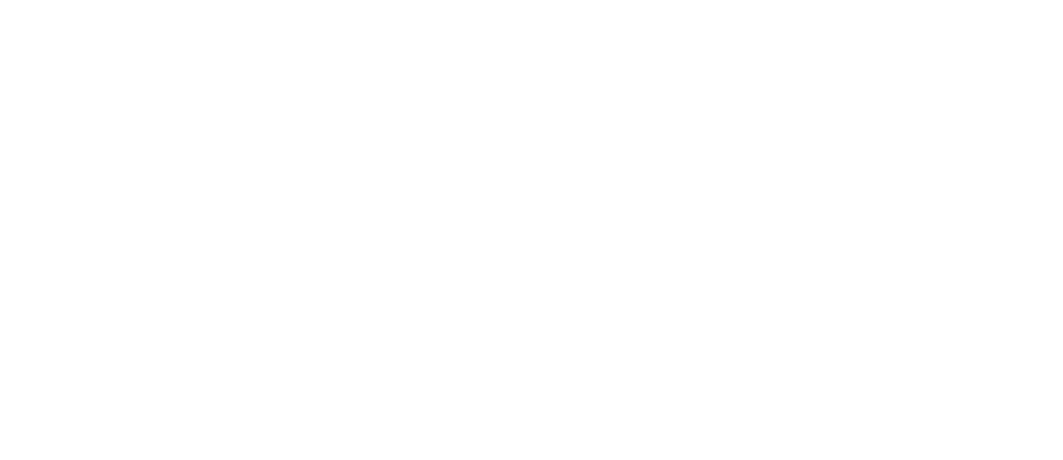 DSD Connect IO