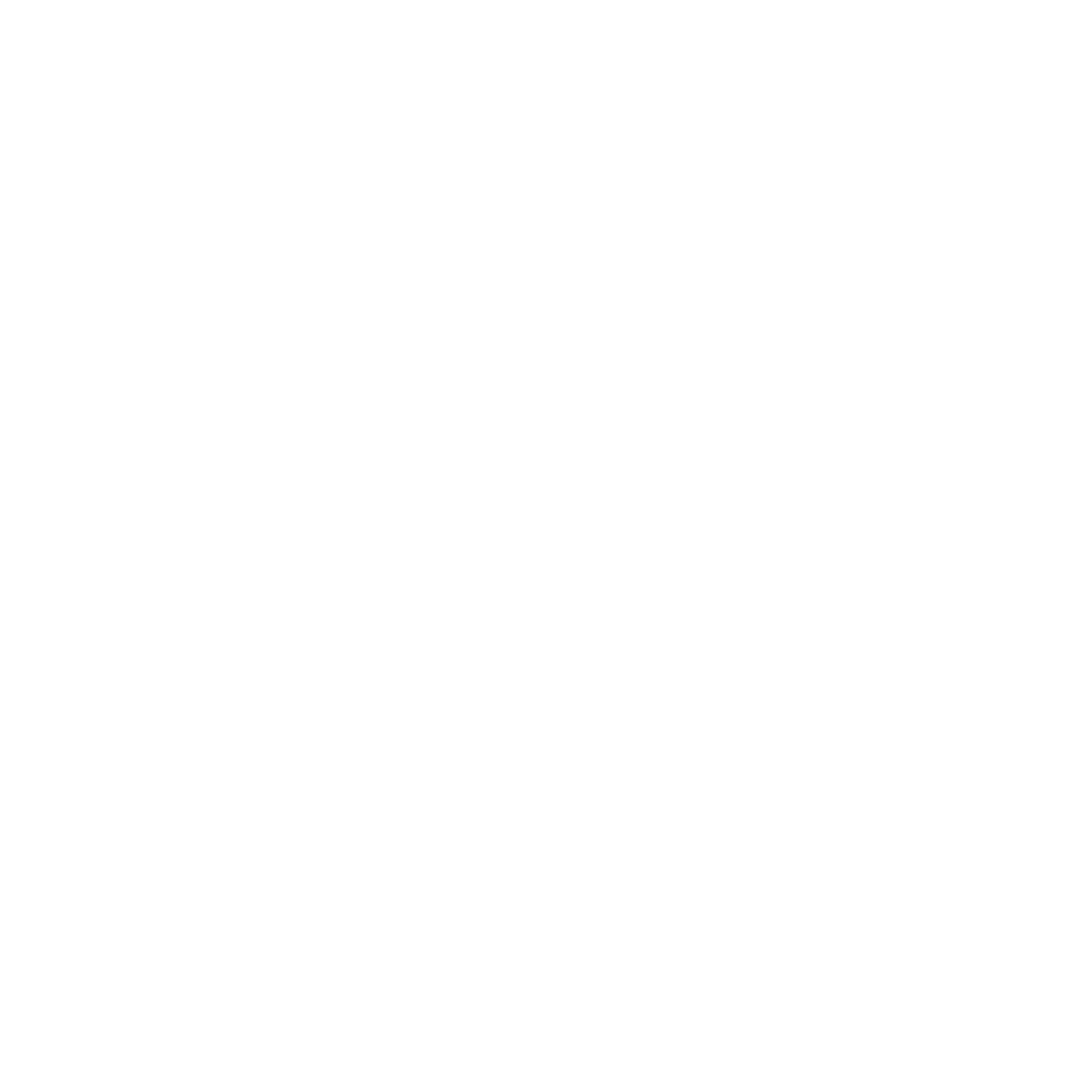 DSD Connect IO